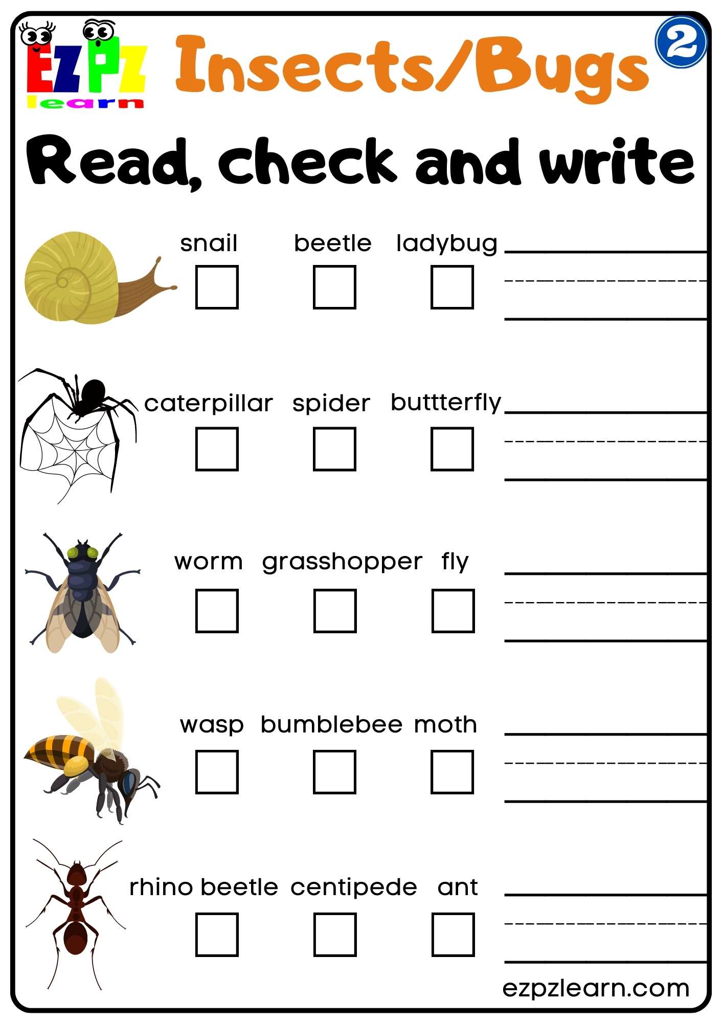 Group 2 Insects and Bugs Read Check and Write Worksheet PDF Download For Homeschool and ESL Students